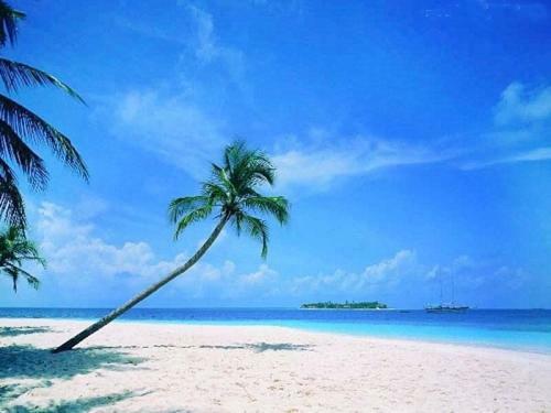 Sanya Tropical Coast Hotel Εξωτερικό φωτογραφία