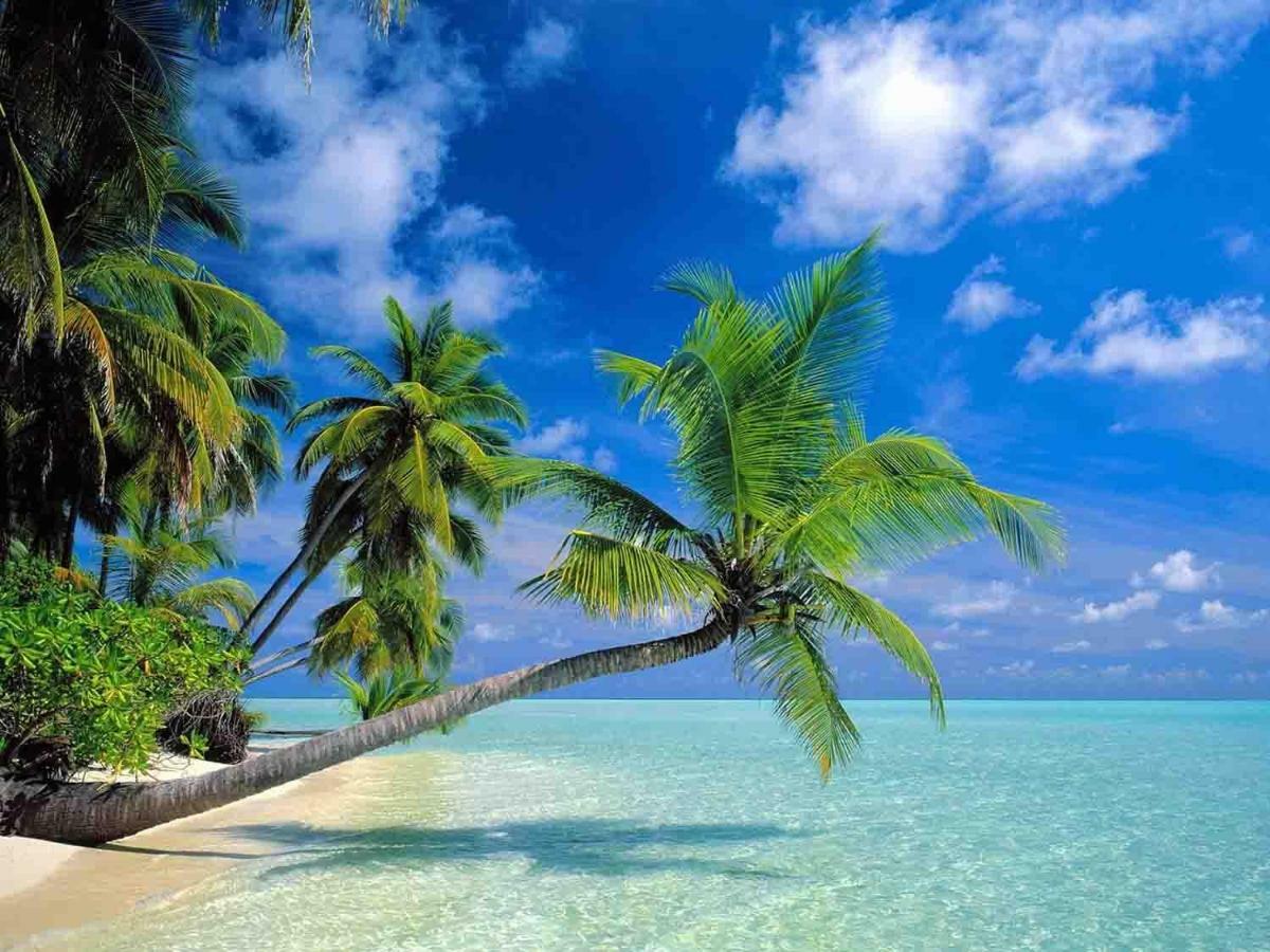 Sanya Tropical Coast Hotel Εξωτερικό φωτογραφία