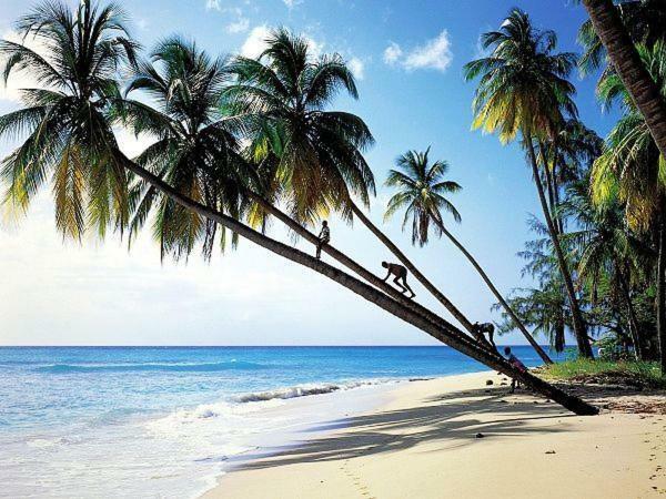 Sanya Tropical Coast Hotel Εξωτερικό φωτογραφία